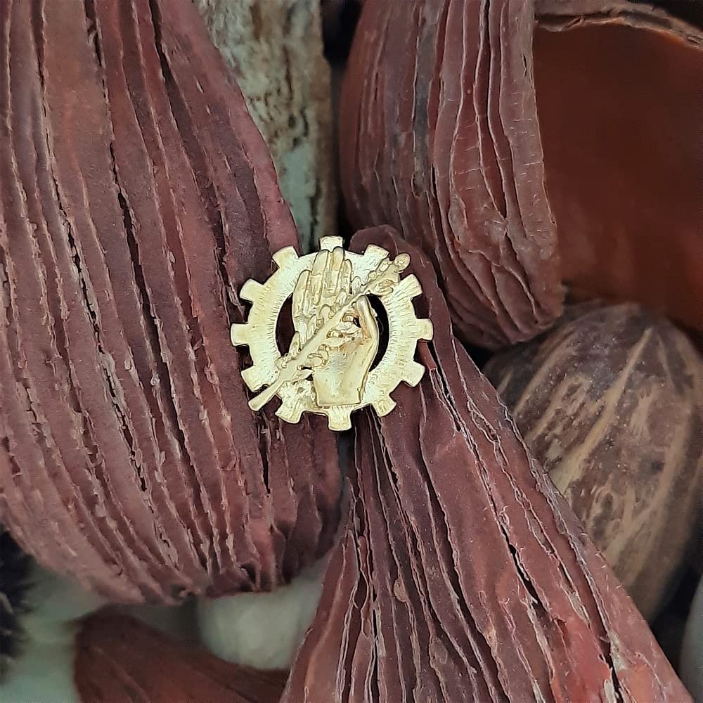 Insignia Trabajo Social Chapada en Oro 925 Alylosilver con Estuche - Imagen 3