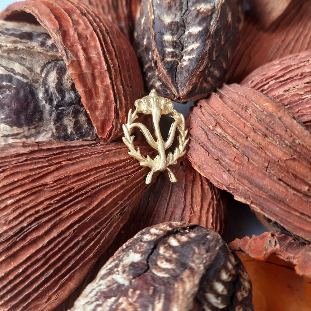 Insignia Psicología Chapada en Oro 925 Alylosilver con Estuche - Imagen 3