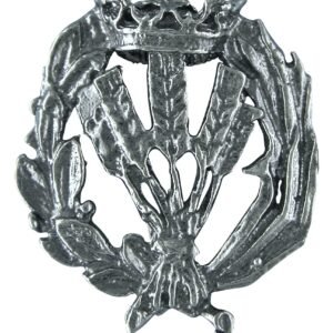 Insignia Ingeniería Agrónoma Plata de Ley 925 Alylosilver con Estuche