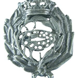 Insignia Biología Plata de Ley 925 Alylosilver con Estuche