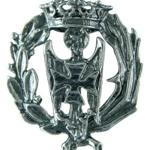 Insignia Enfermería Plata de Ley 925 Alylosilver con Estuche