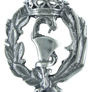 Insignia Farmacia Plata de Ley 925 Alylosilver con Estuche