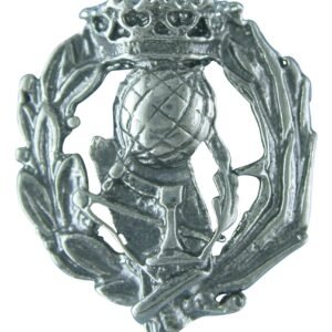 Insignia Magisterio Plata de Ley 925 Alylosilver con Estuche