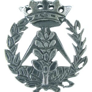 Insignia Ingeniería Agrónoma Plata de Ley 925 Alylosilver con Estuche