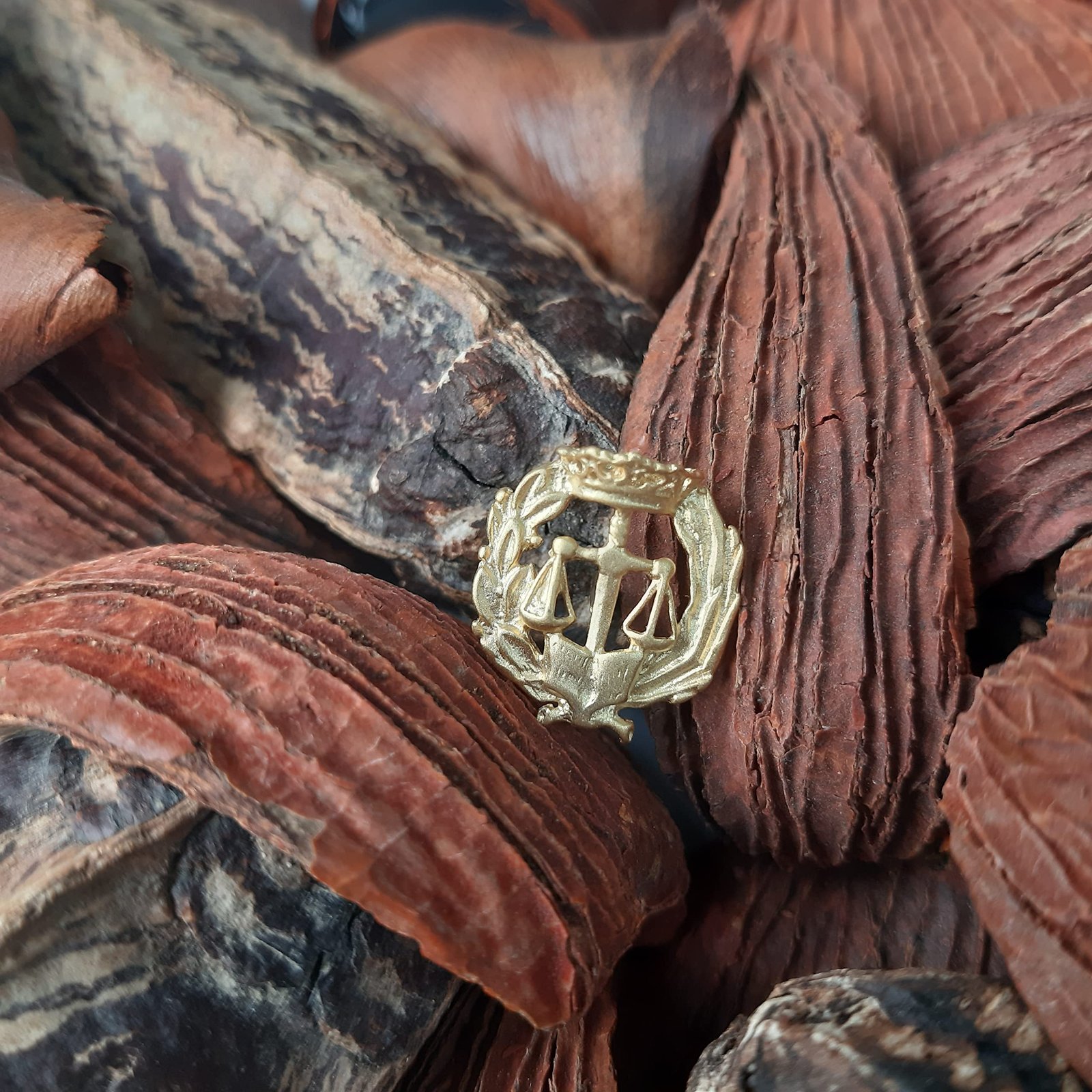 Insignia Derecho Chapada en Oro 925 Alylosilver con Estuche - Imagen 2