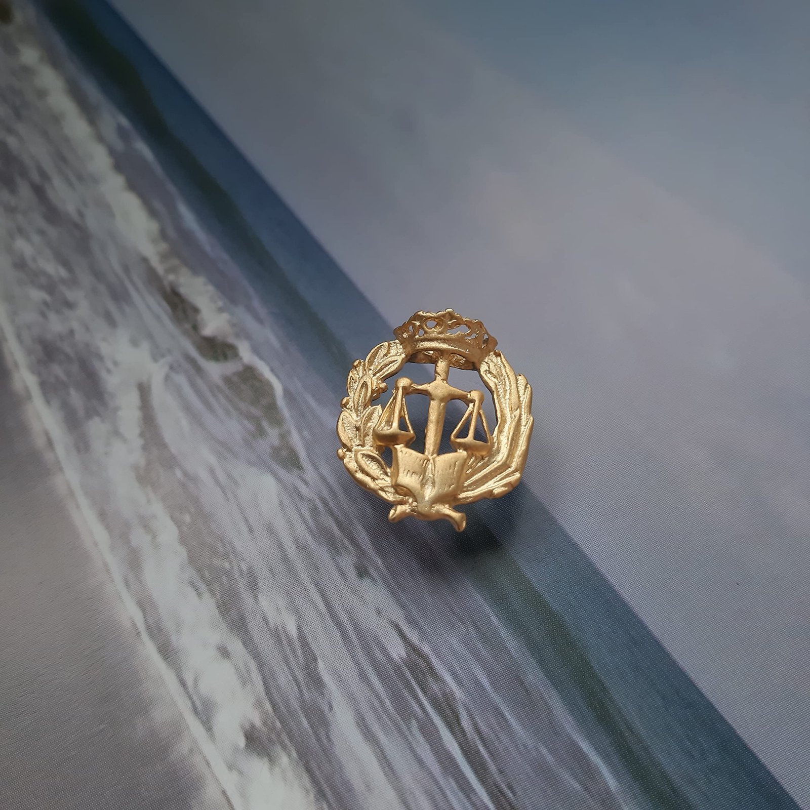 Insignia Derecho Chapada en Oro 925 Alylosilver con Estuche - Imagen 5